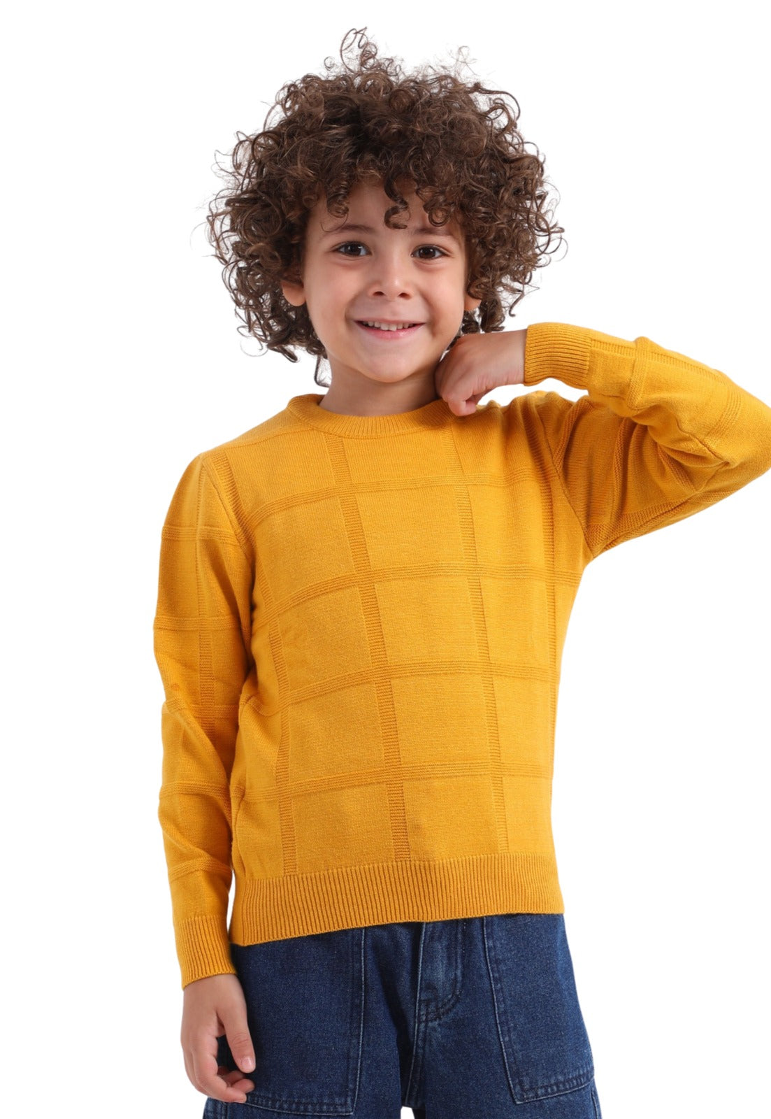 Boys' winter knitted sweater (212)