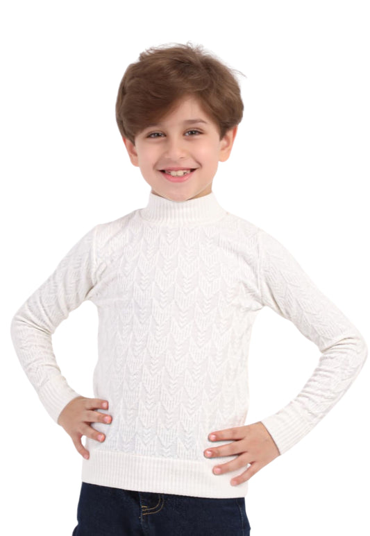 بلوفر تريكو بياقة هاي كول Unisex (273)