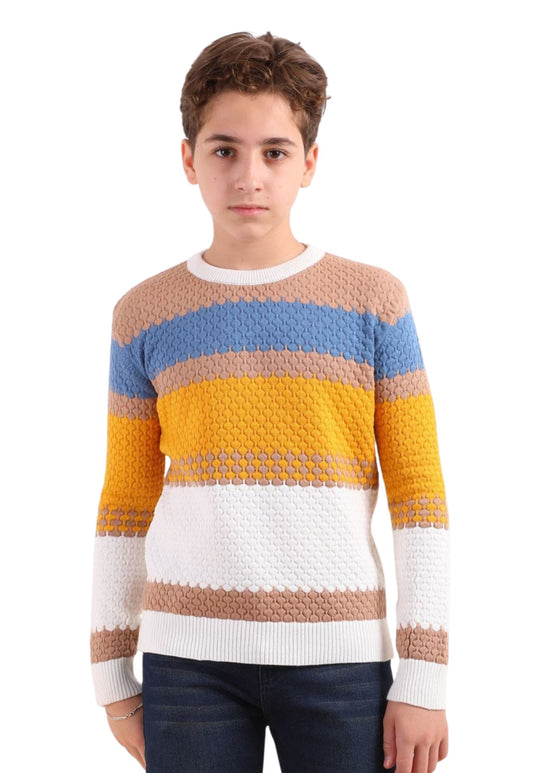 Boys' winter knitted sweater (203)